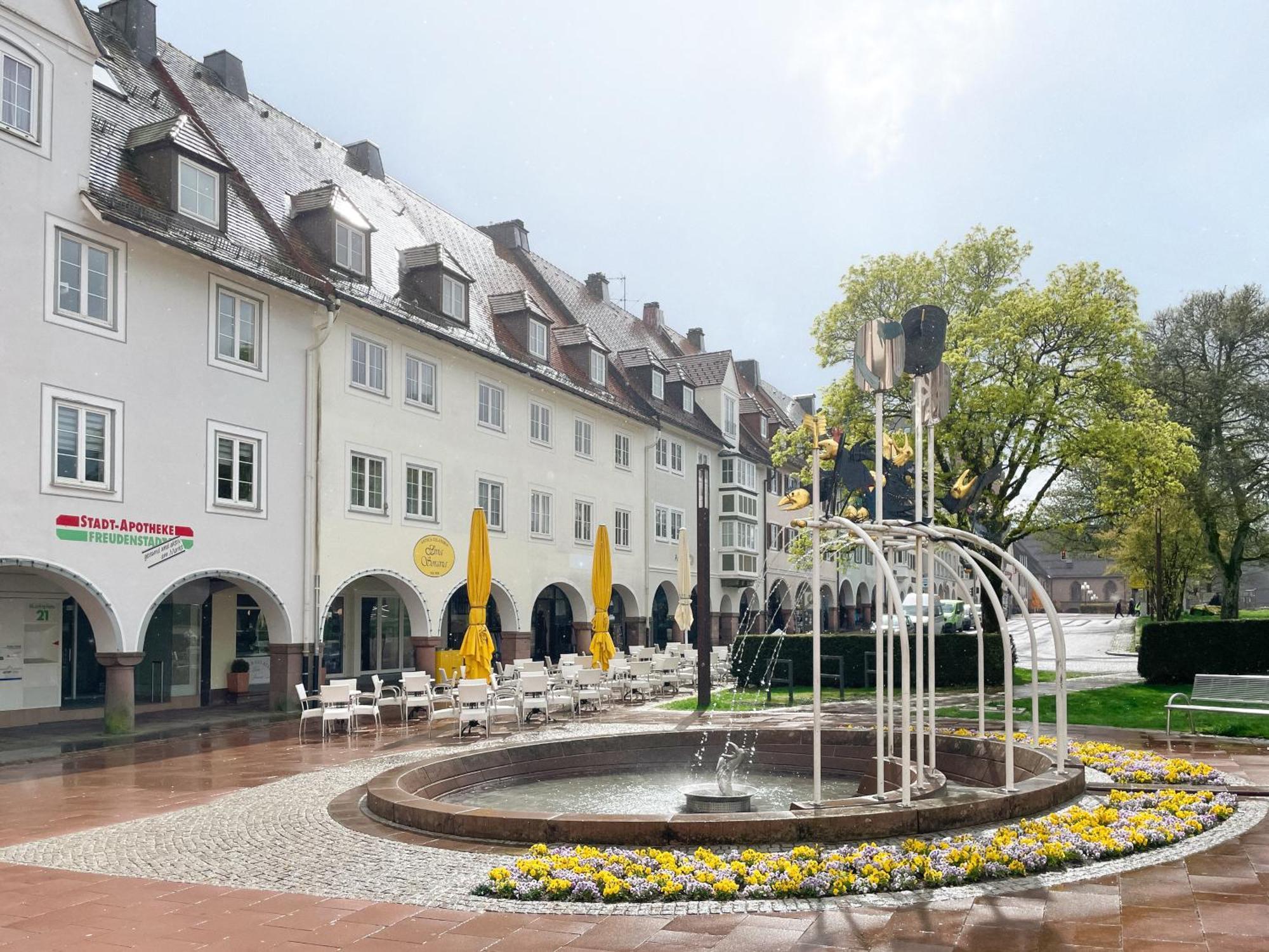 Markt 22 Am Marktplatz Landesgartenschau Фройденштадт Экстерьер фото